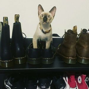 Meet your Posher, Harper